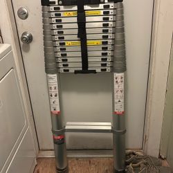 Vevor Telescope Ladder 