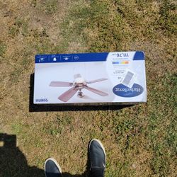 New Cieling Fan