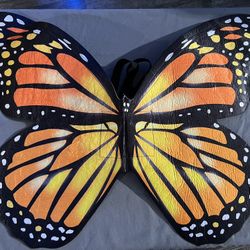 Kids Butterfly Wings Costume Accessory