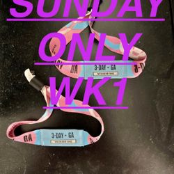 Austin City Limits Weekend 1 2025 **SUNDAY ONLY**  $200 EACH 