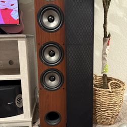 Polk Audio Floor Standing Speakers