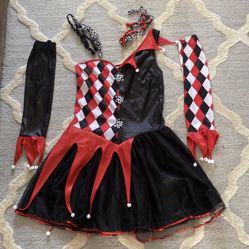 Harlequin  Halloween  Costume