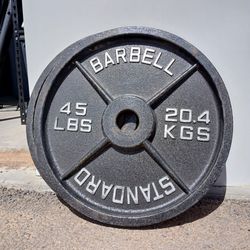 PAIR of ROGUE 45LBS Olympic Weight Plates