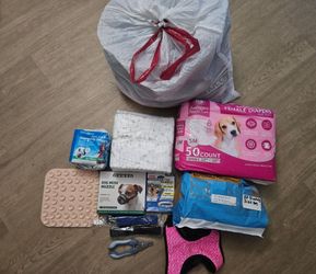 Dog accessories and diapers