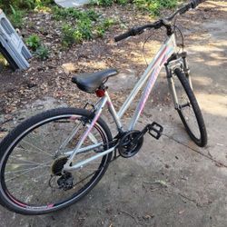 21 Speed Schwinn Bike