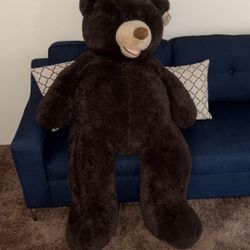 Teddy Bear