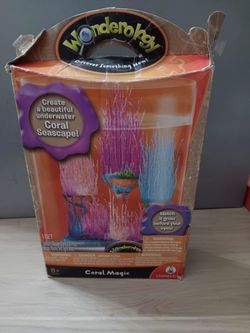 Coral Magic Wonderology Coral Seascape