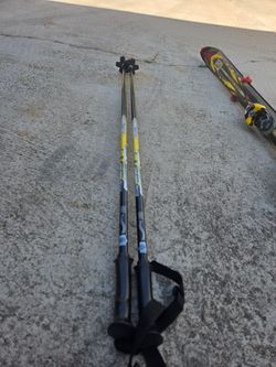 Ski Poles