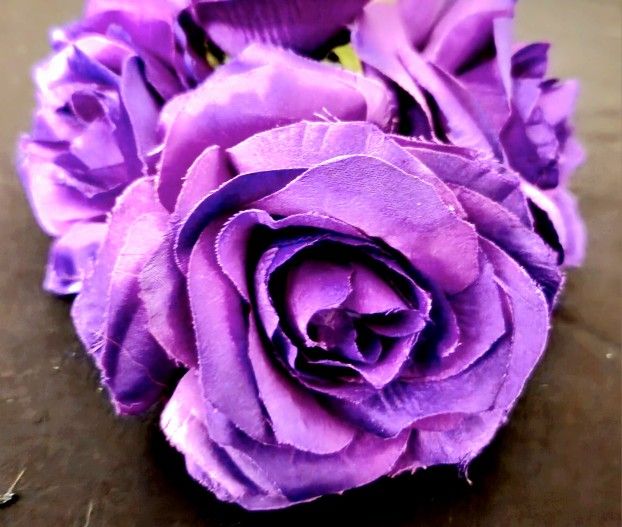 Purple / Amethyst Roses
