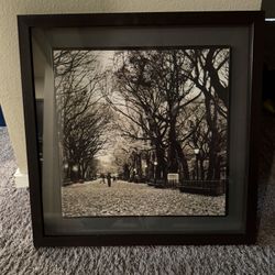 Framed Picture
