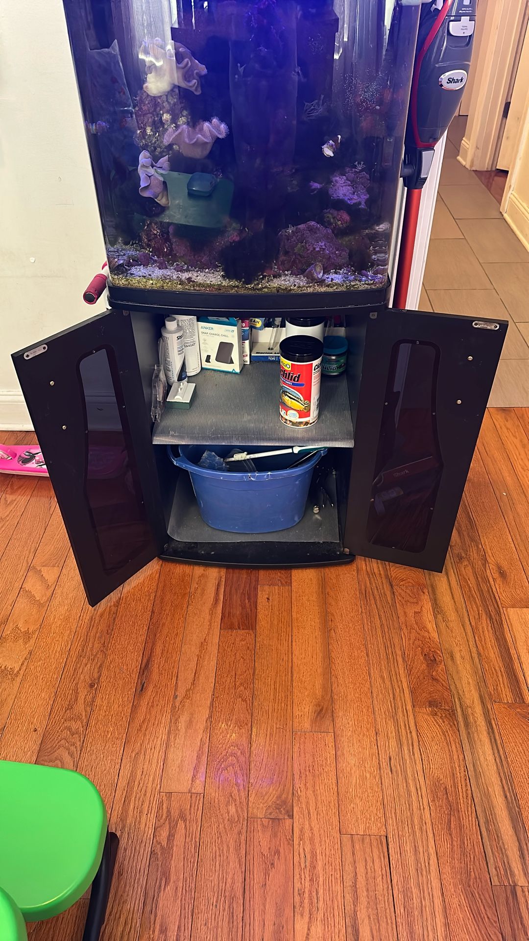 Fish Tank