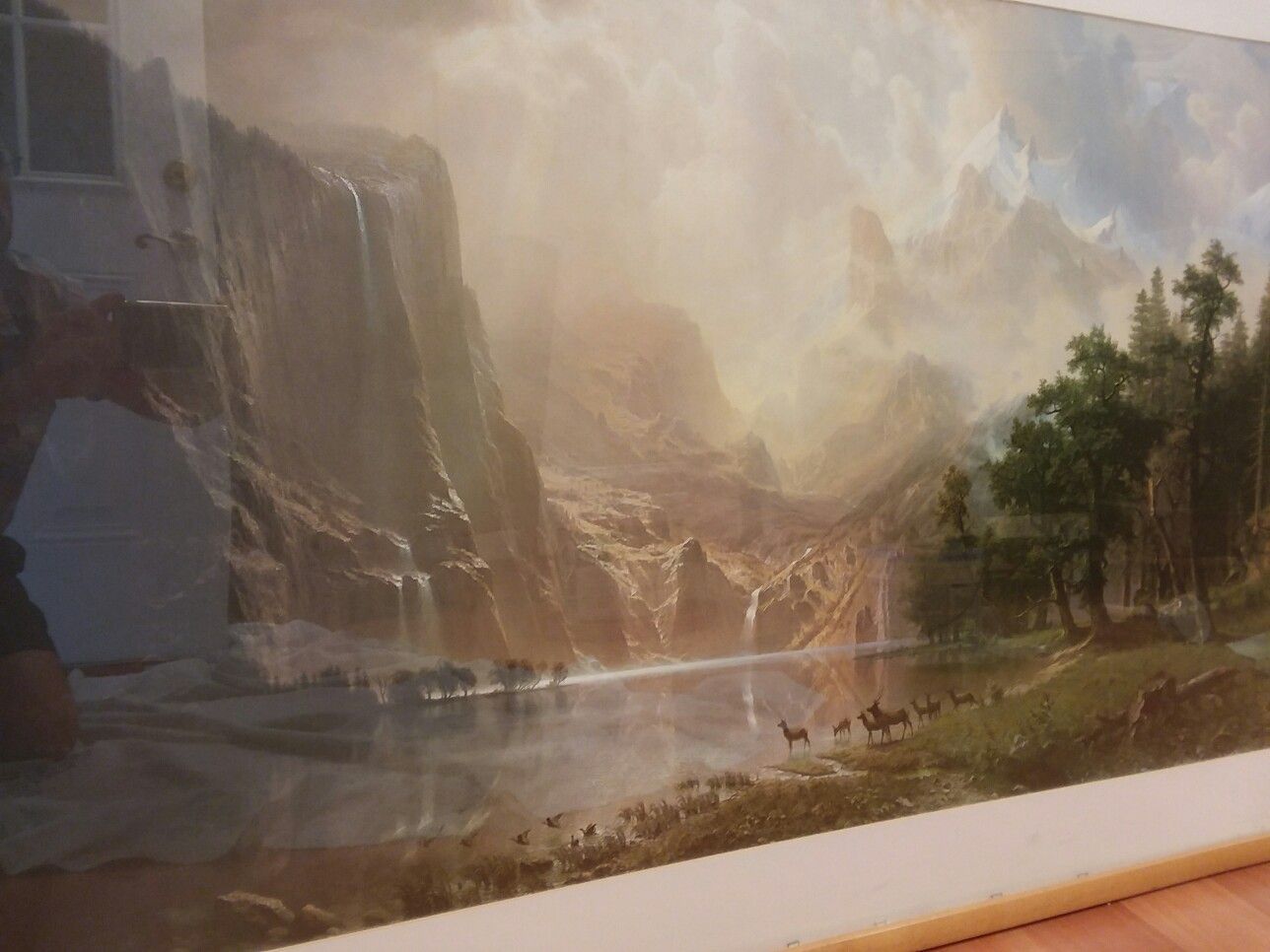Pair of two beautiful framework prints