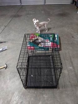Dog Cage