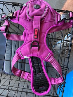 KONG Dog Harness Pink/Purple. Medium