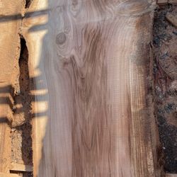 Live edge redwood slab