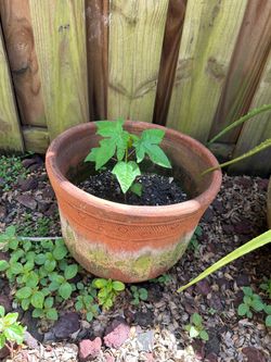 Large Outdoor Terracotta Pot / Planter with Drainage Hole + Medium Terracotta Planters