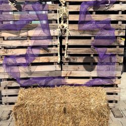 Halloween Backdrop And Decor