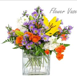 Set of two CYS EXCEL Clear Glass Cube Vase 6"x6"x6" | Square Wedding Flower Vase Centerpieces | Cubic Glass Candle Holder
