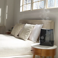 Honeywell humidifier
