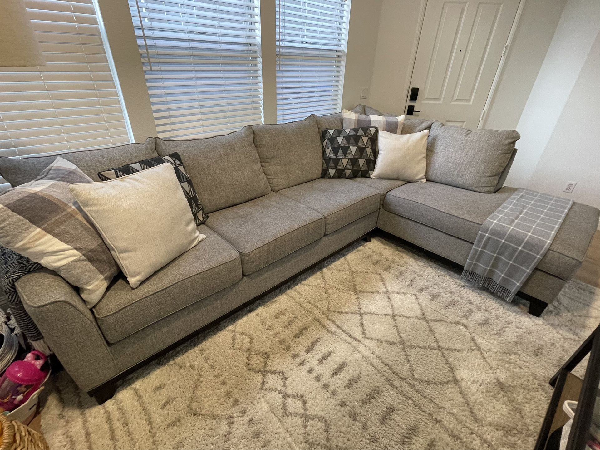 Grey Sectional Couch