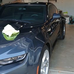 Car Care Paint Correction