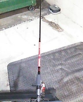 Quality Fishing Polls With Real And Rod X2