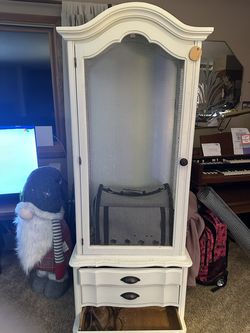 Cabinet Cage used in place of traditional Birdcage