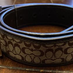 Ladies Coach Belt 