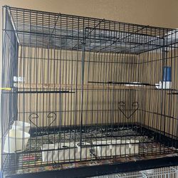 Bird Cage