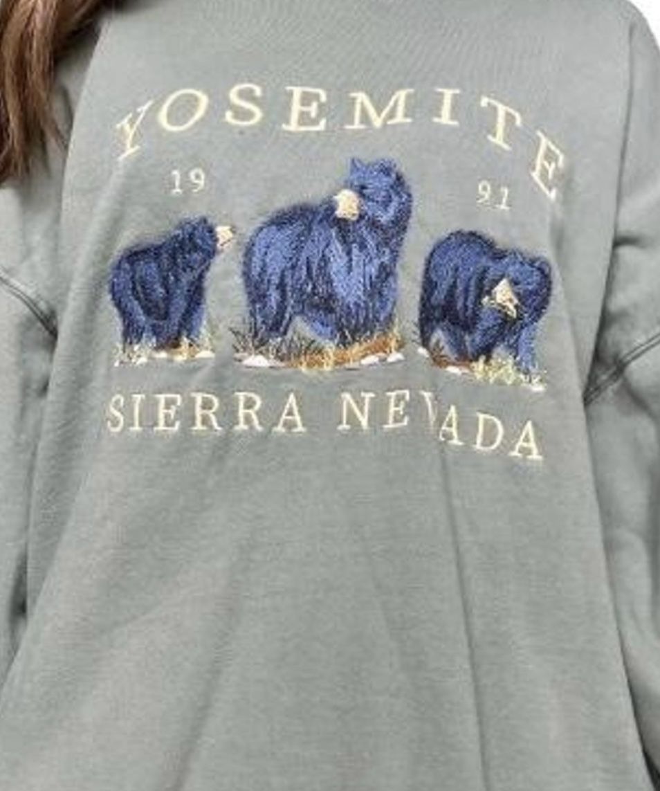 Yosemite Brandy Melville Crewneck