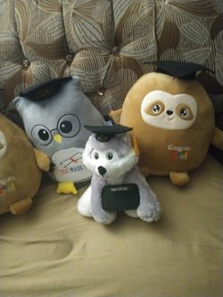 $9 Each Fontana Ca