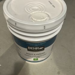 Behr 5 gallon premium paint (pink)