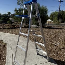 Ladder 6 Foot 