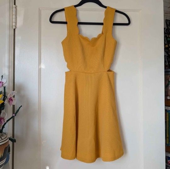 Brand new with tags Francesca's Spring Dress Summer Dress size XXS