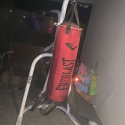 Everlast Punching Bag