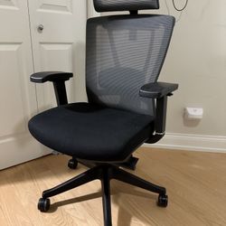 Autonomous ErgoChair Pro
