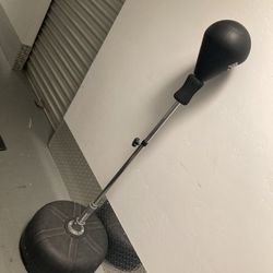 Boxing Everlast Core Reflex Bag