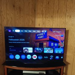 48" Sony BRAVIA TV