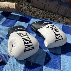 Everlast Boxing Gloves 14oz