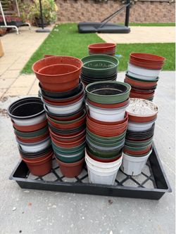 Free nursery pot