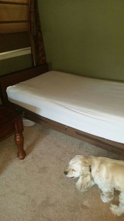 Hospital Bed...REDUCED!