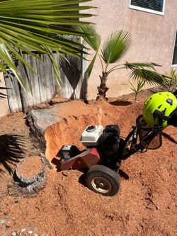 🪵Stump grinding🪵