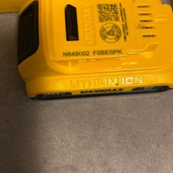 20v 2amp Battery x 5