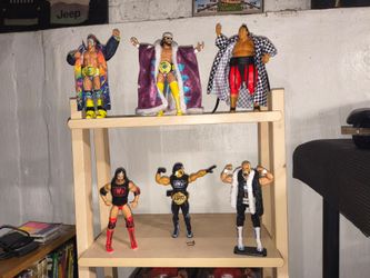 WWE action figures