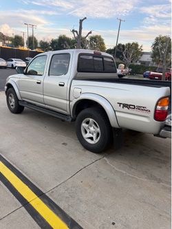 2003 Tacoma Ted