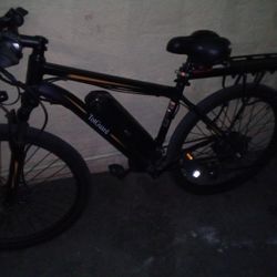 ToT Guard/  E Bike 48 V-10AH/  Model T-276