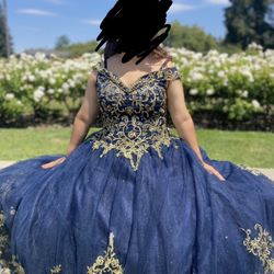 Quince Dress