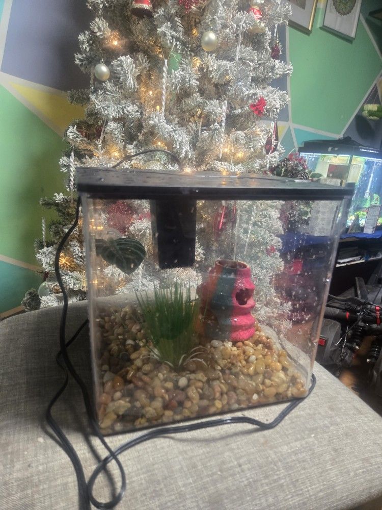 Fish Tank 