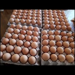 Huebos Jumbos De 100 Huebos La Caja 