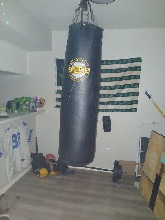 Everlast Punching Bag 130 Pound